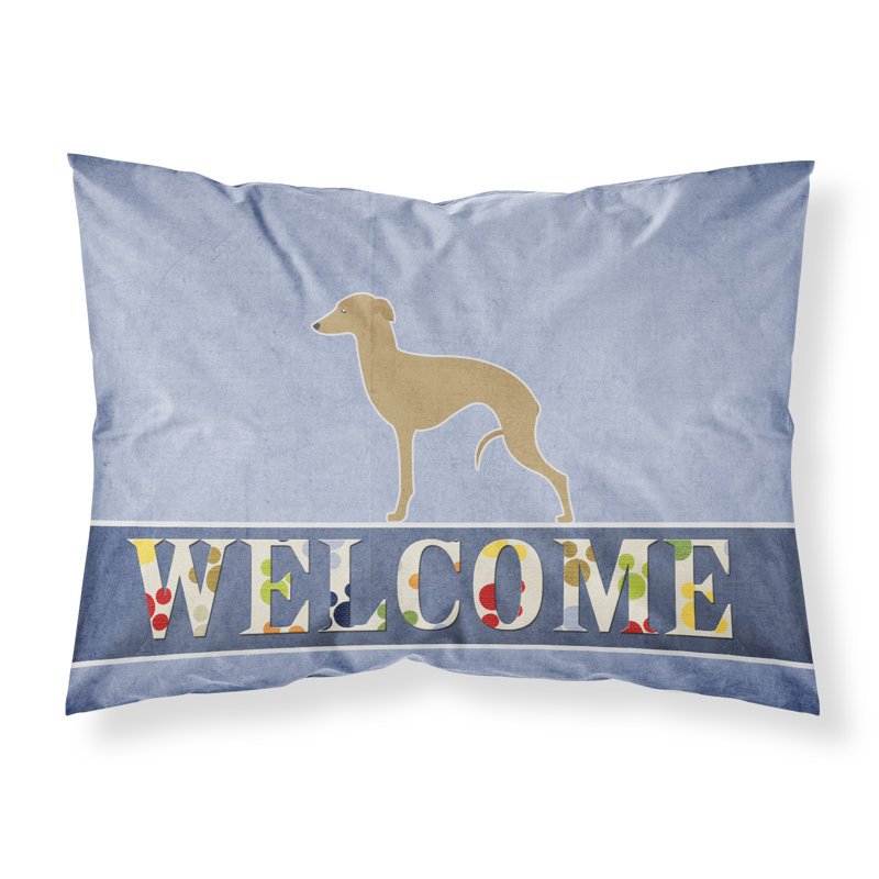 Microfiber, Italian Greyhound