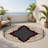 Imperial Grace Indoor And Outdoor Area Rug-2138563676