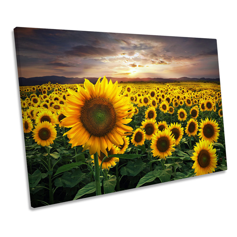 Yellow Sunflower Field - Wrapped Canvas Print, 40.6cm H x 61cm W