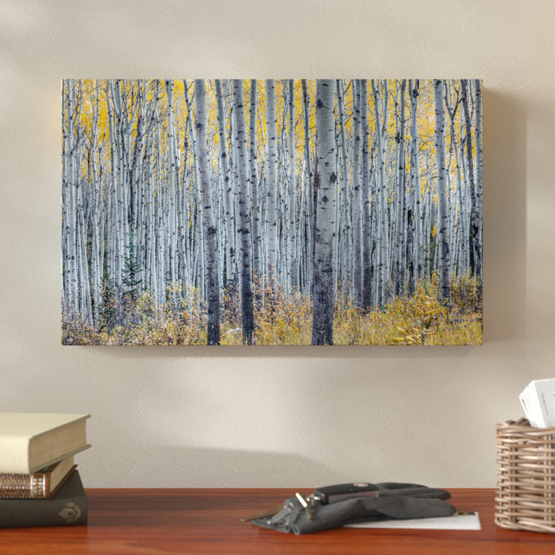 Forest of Aspen Trees Framed Canvas Landscape Print