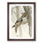Pheasant in Flight by Ohara Koson - Picture Frame Painting Print-55583560-55583563