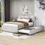 Lit plateforme tapissier avec couchette Elerte-566375483-566375482