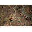 Dharma Oriental Area Rug in Brown