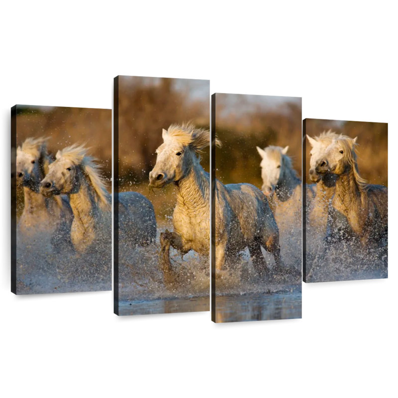 Chevaux camarguais Brampt qui courent dans l'eau, H 48 po x l 75 po