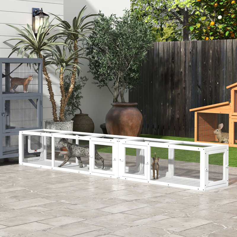 Cat Tunnel Outdoor, White