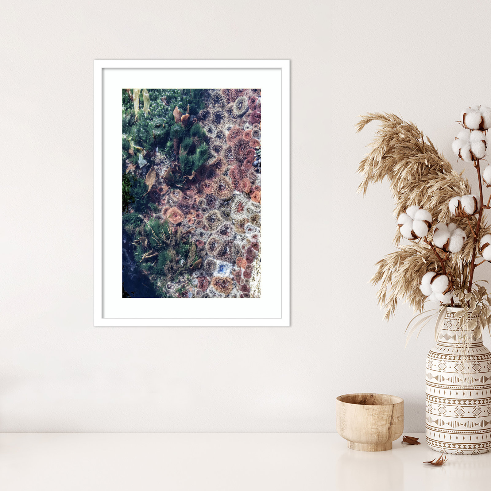 Daisey "Ocean Curiosities" Print, White, 25" H x 19" W