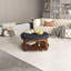 Table basse rembourrée-1284830279