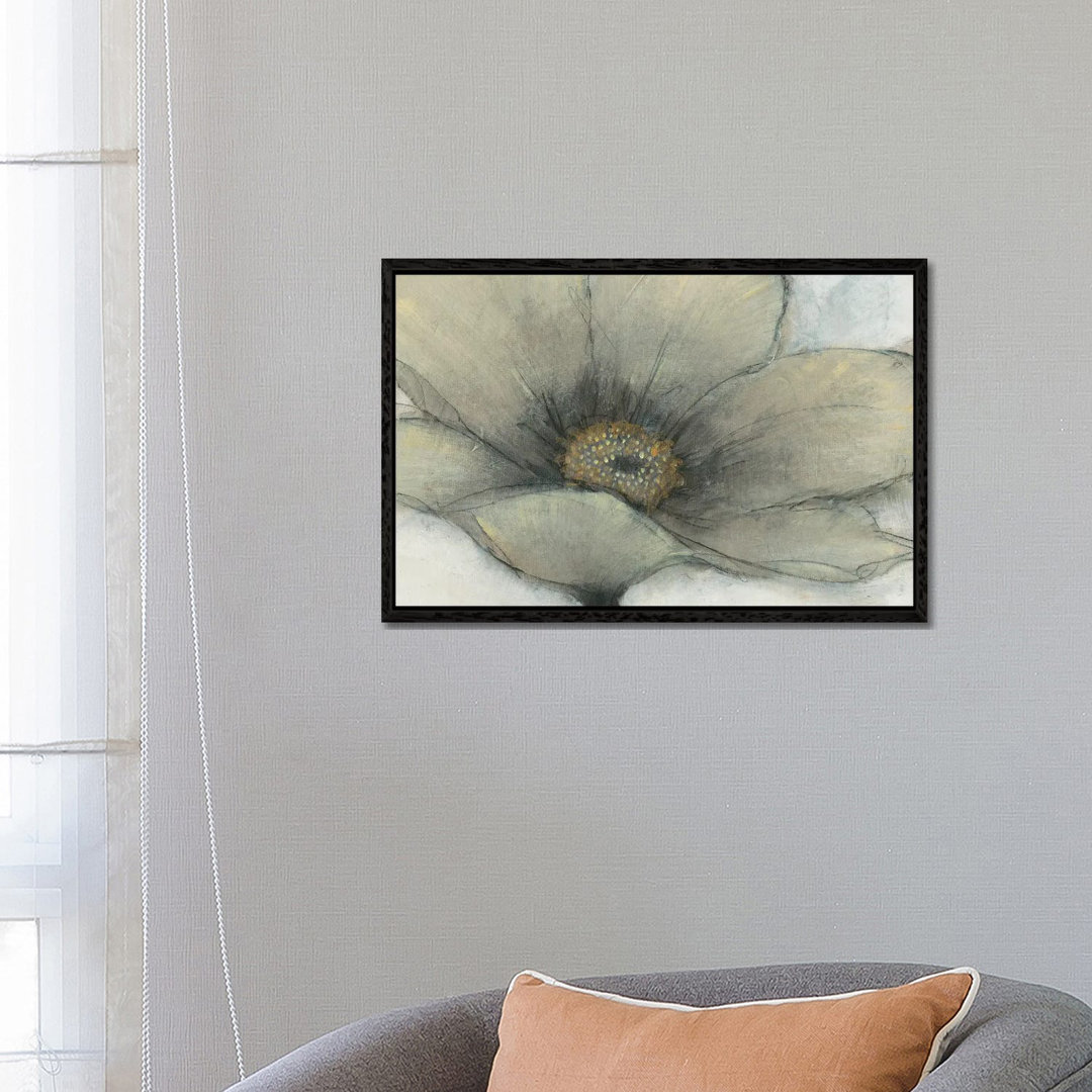 Single Cream Bloom II von Tim OToole - Galerie-verpackte Leinwand Giclée