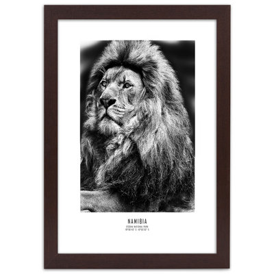 African Lions, Animals - Single Picture Frame Print