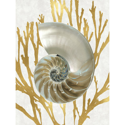 " Shell Coral Gold II " by Caroline Kelly