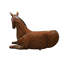 Banc à cheval Saddle-Up