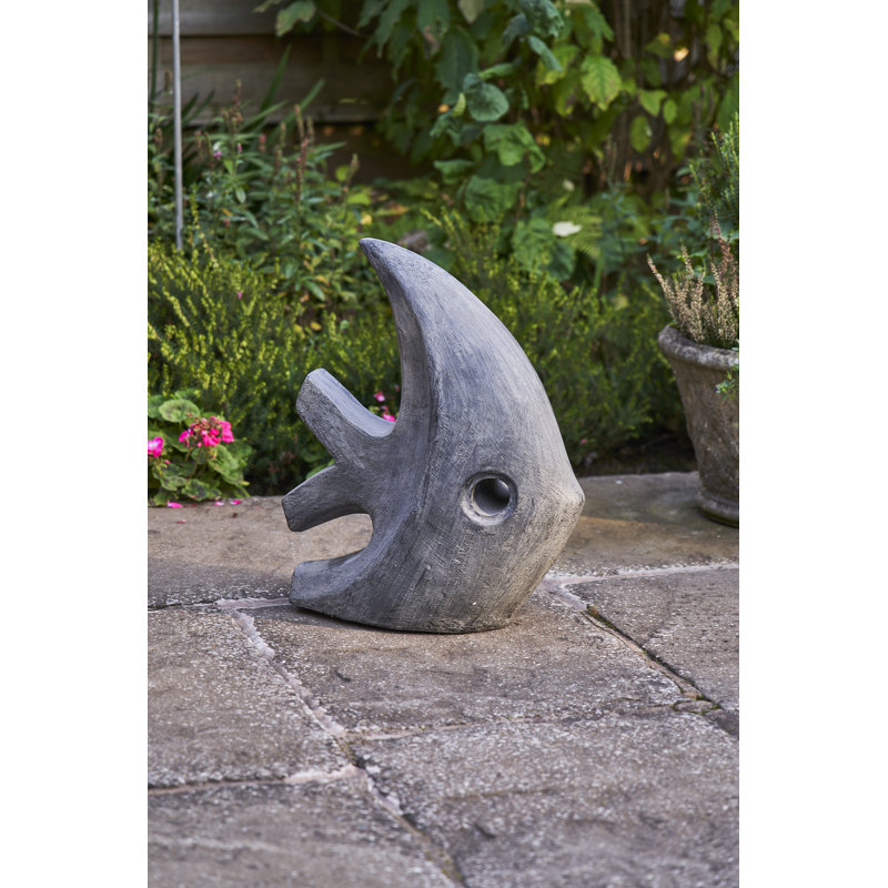 Contemporary Fish
