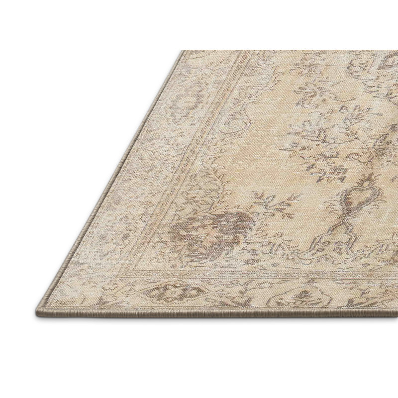 Patria Oriental Indoor Rug, Rectangle 4' x 6'