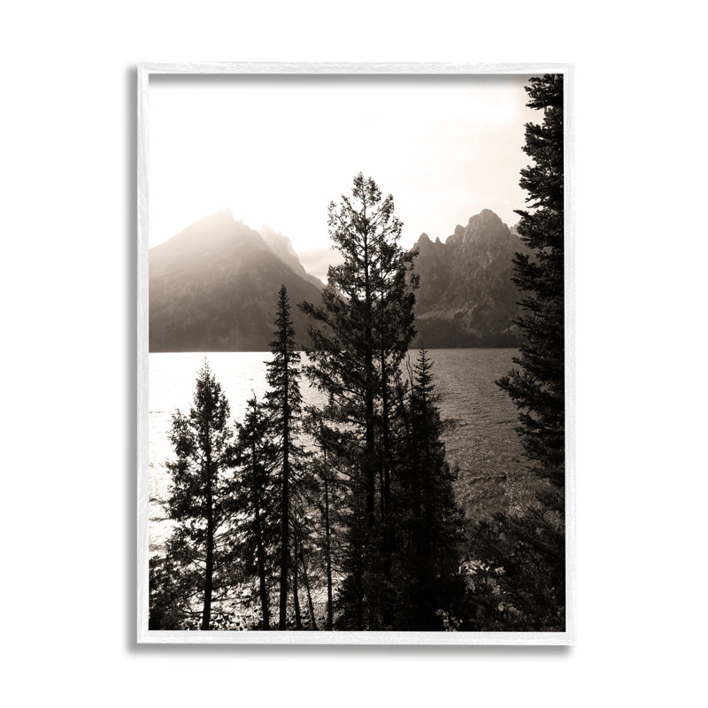 «Trees & Lake View» encadré sur bois par Daniel Sproul, Giclée encadrée blanc bord de mer, H 14 po x l 11 po x P 1,5 po
