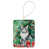 Foldex Exotic Fold Cat