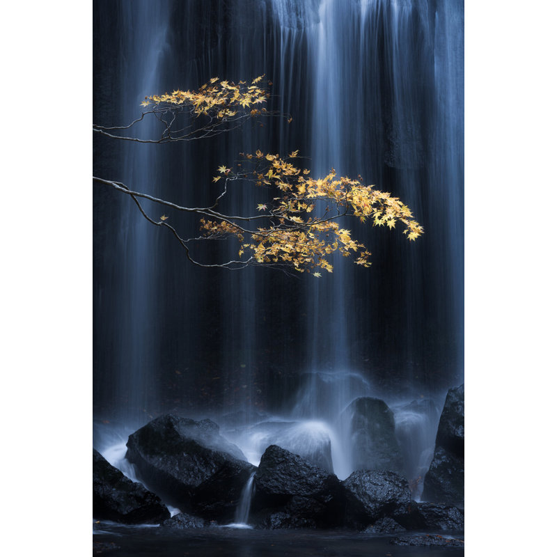 Wrapped Canvas Print, 50.8 cm H x 76.2 cm W
