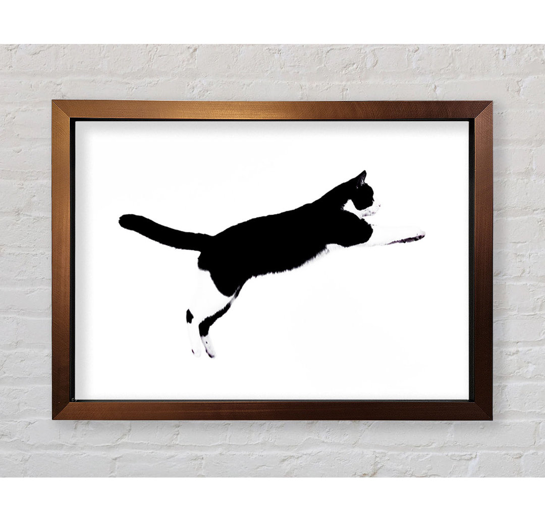 Gerahmtes Bild Jumping Cat