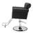 Faux Leather Reclining Salon Chair