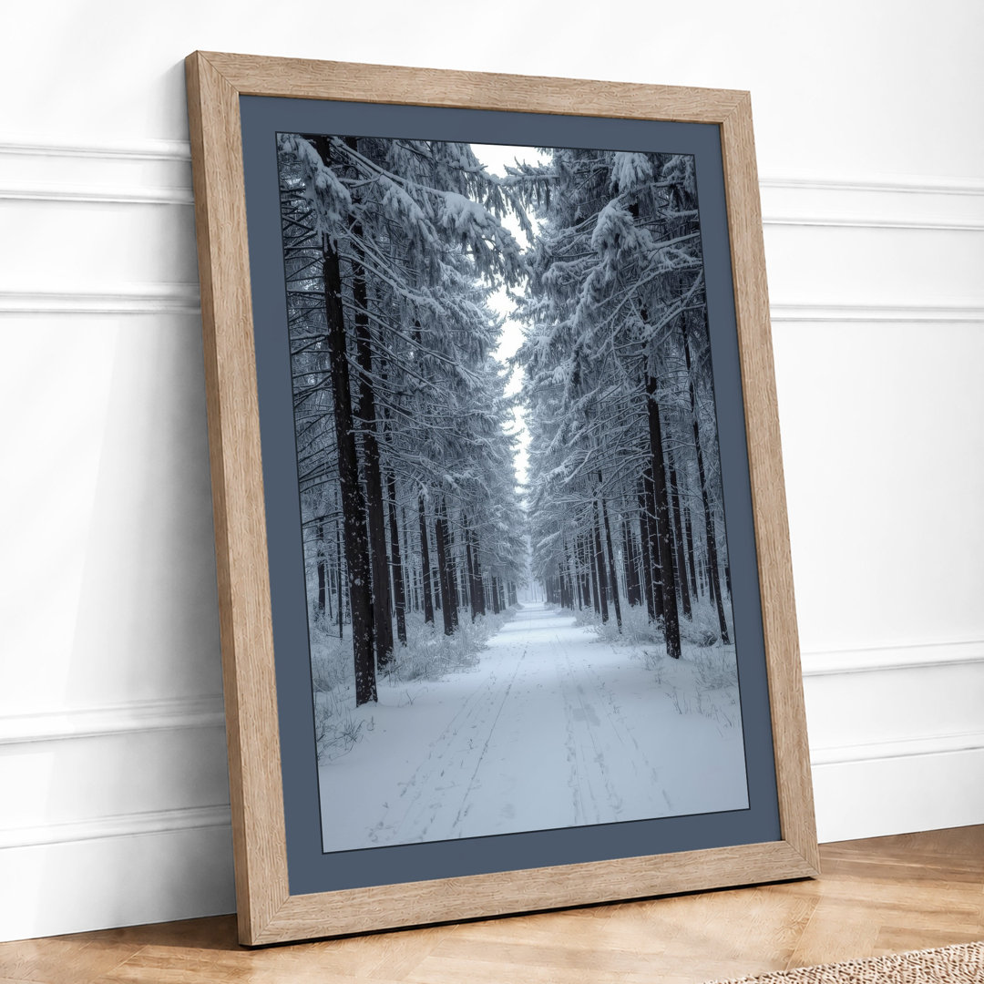 Snow-Lined Forest Path Scandinavian - Framed Print