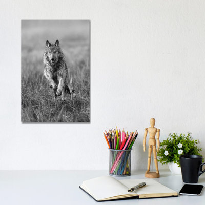 Timber Wolf running, North America 1 Piece Wall Art on Canvas