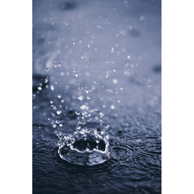 Rain Drops - Wrapped Canvas Print, 46cm H x 30cm W x 3.8cm D