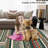 Geometric Machine Washable Rug for Living Room Bedroom Striped Non-Slip Low Pile Rubber Backing Area Rug for Playroom Office Kitchen Dining Room Dorm and Bedside Decor-1233185744