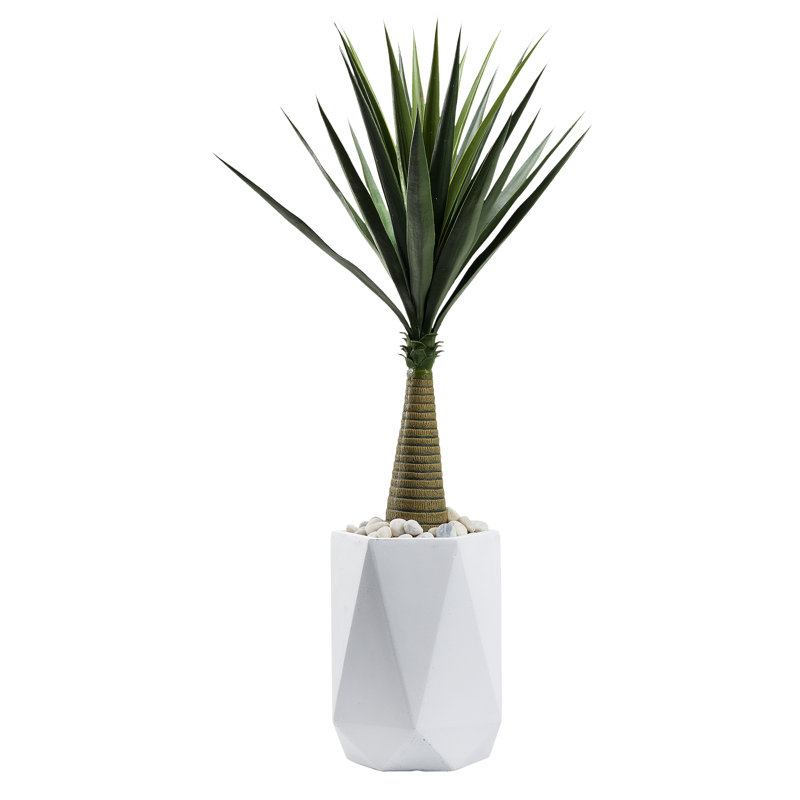 54'' Faux Succulent Tree in Planter, White