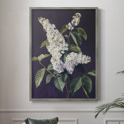 FLORAL Series CCXXXIII Framed Print - Solid Wood