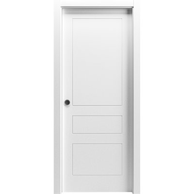 Panelled Wood Pocket Doors