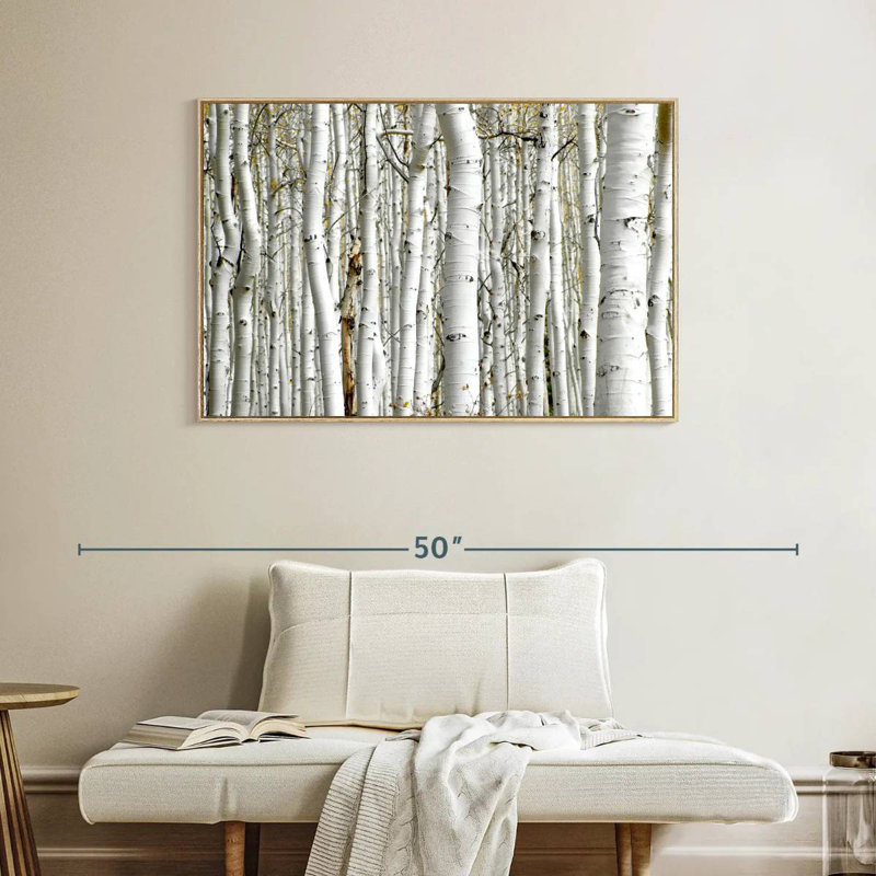 Bouleau, Cadre flottant en bois naturel, 40 po x 27 po
