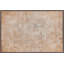 Luneta Cowhide Area Rug in Brown
