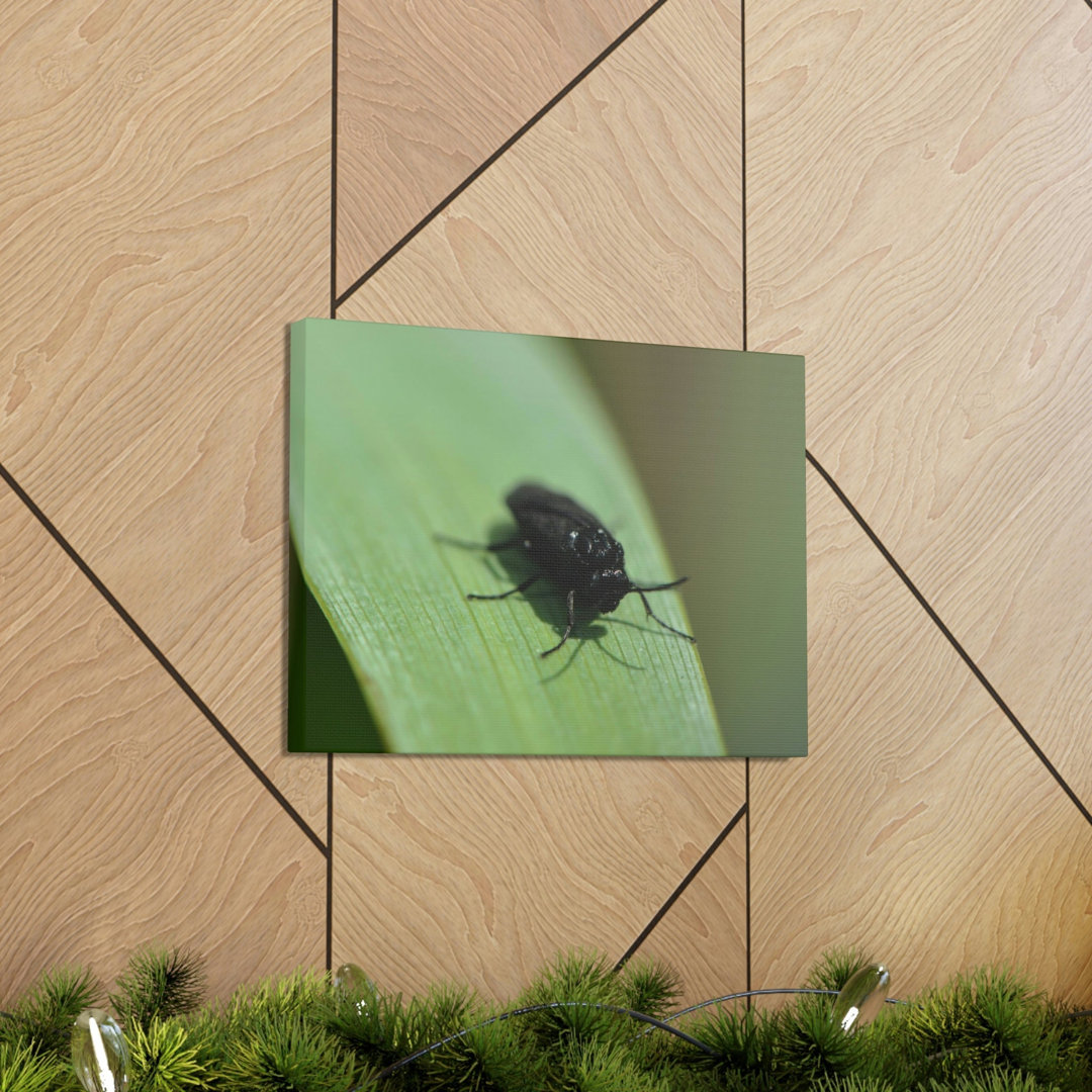 No Frame Print on Canvas
