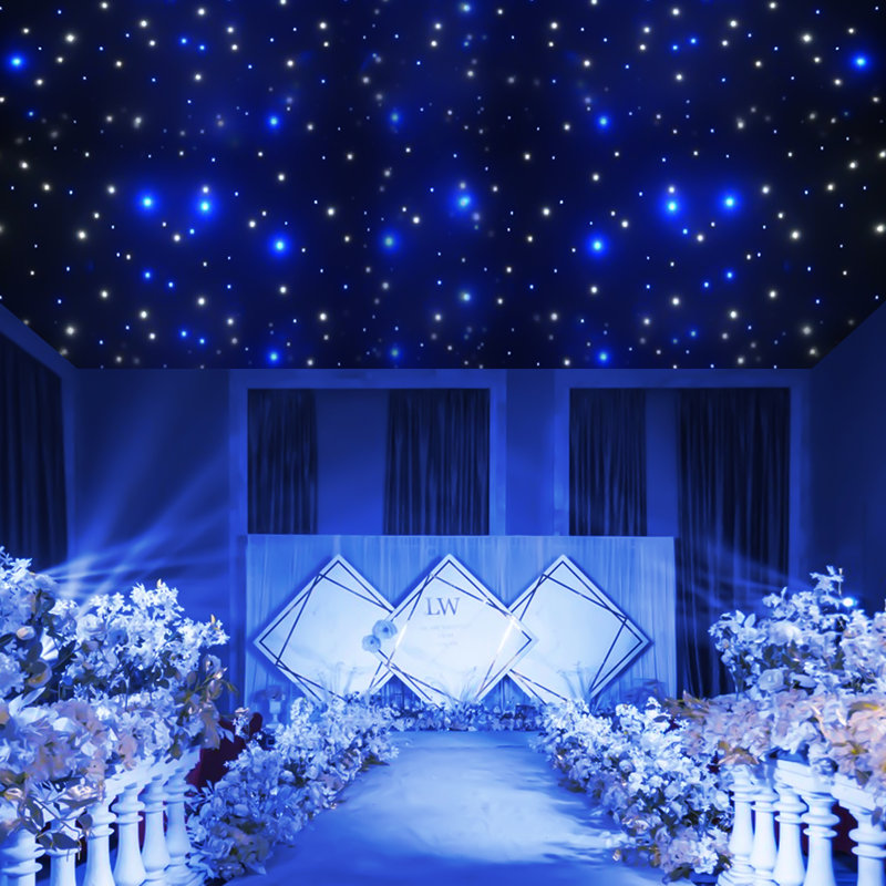 19.68ft*9.84ft White & Blue LED Star Backdrop