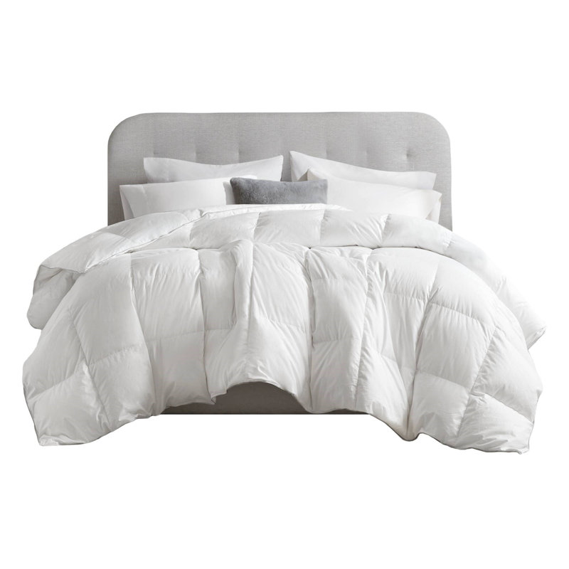 Édredon en duvet d'oie blanche 100% coton, Édredon double / grand