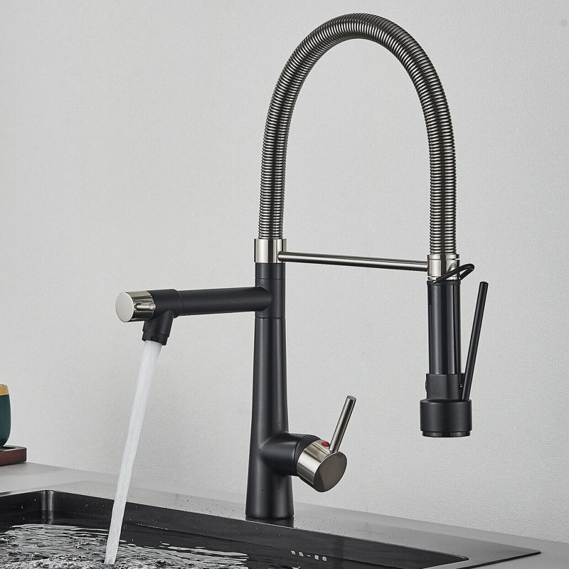 Belfry Kitchen Keneisha Pull Down Kitchen Faucet