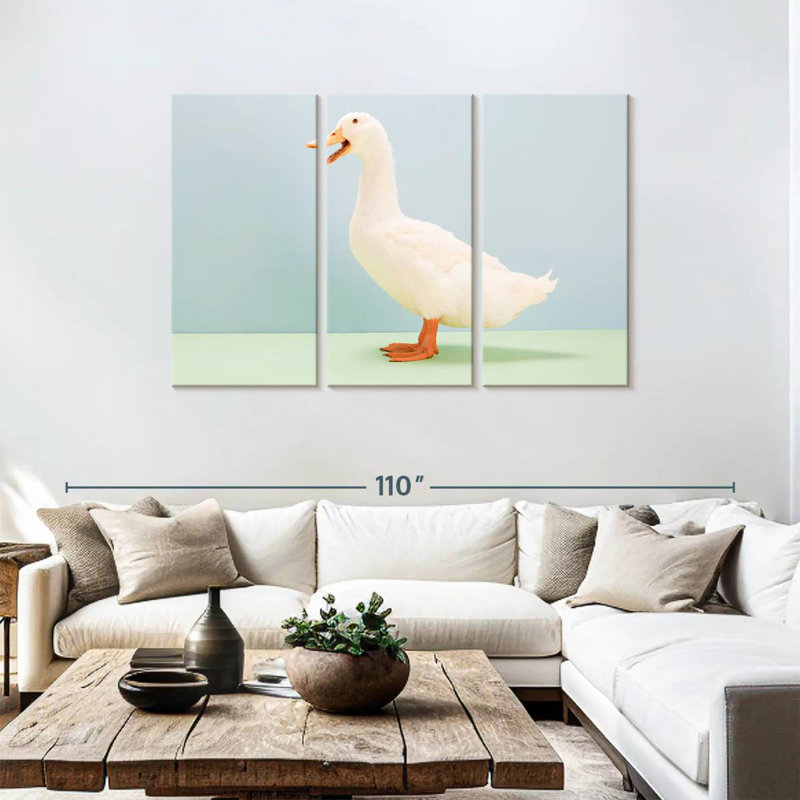 Canard blanc Brampt, H 48 po x l 74 po