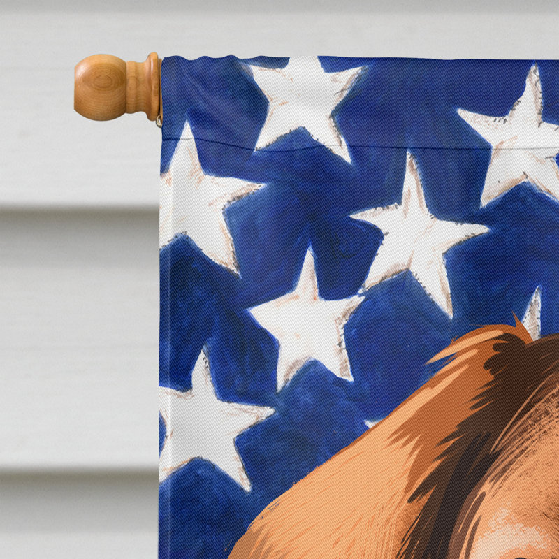 Polyester à 2 côtés 28 x 40 po drapeau maison, Foxhound américain