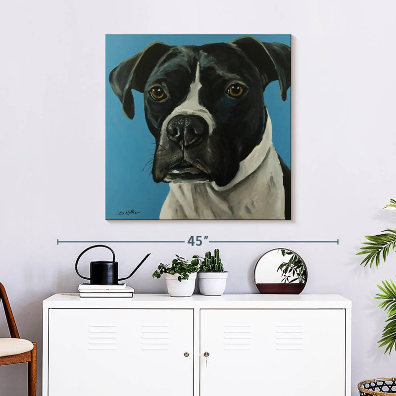 Crowle Boxer Black Boxer