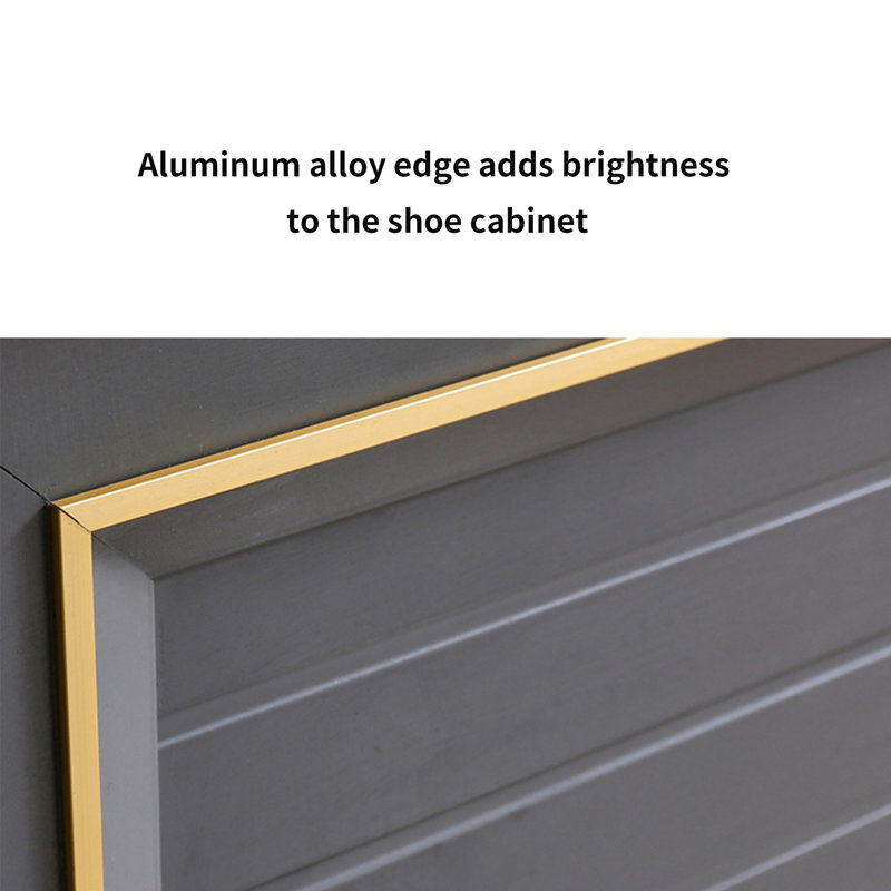 Light Luxury Two-Door Aluminum Alloy Shoe Cabinet 12 Pair Shoe Storage Cabinet