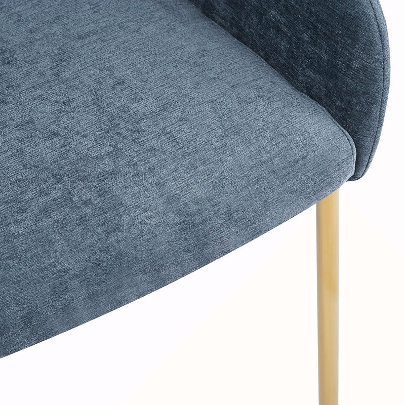 DINING CHAIR( SET OF 2 ), Blue