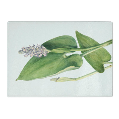Pickerelweed by Mary Vaux Walcott Chopping Board