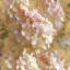 «Gilded Hydrangea I», impression sur toile tendue-22231047-74377524-74409264