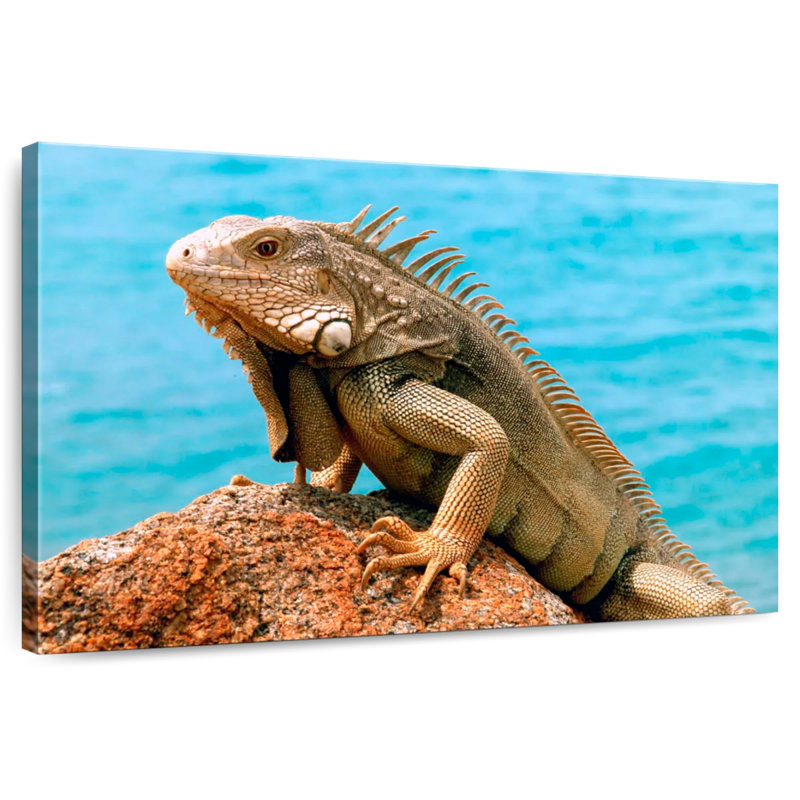 Iguane au bord de la mer, H 32 po x l 48 po