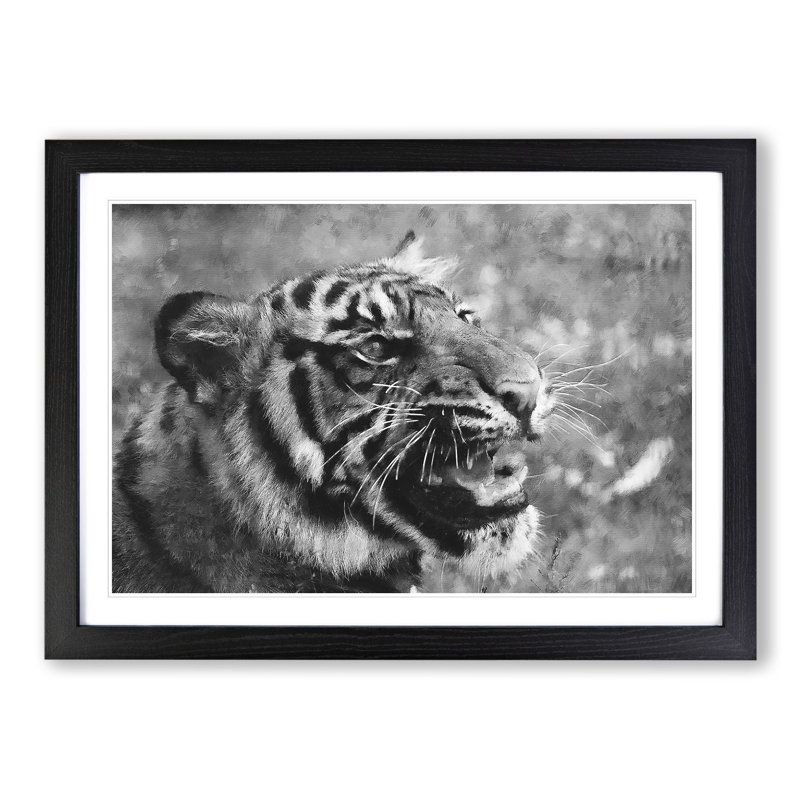 Tiger Vol.4 - Picture Frame Graphic Art, Black, 48cm H x 65cm W x 2cm D