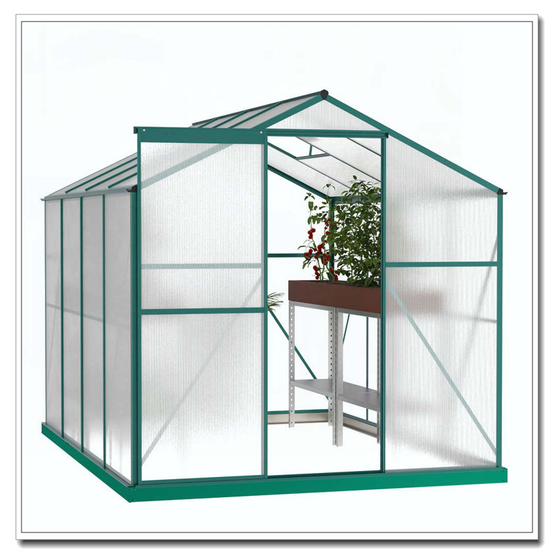 Serre en polycarbonate, serre de jardin robuste 6 pi x 8 pi pour jardin / extérieur