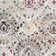Bruckmann Geometric Cream Area Rug