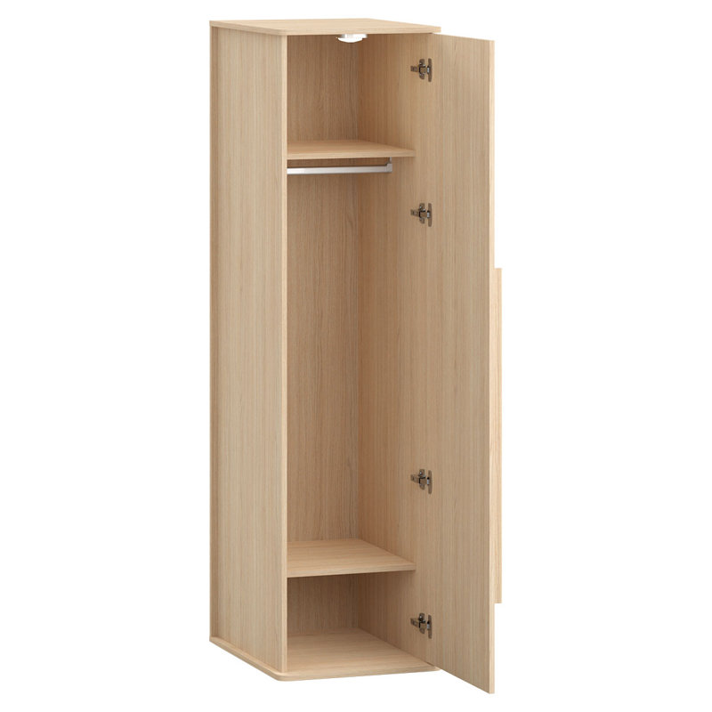 Javion Solid + Manufactured Wood Wardrobe