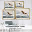 Aigles de mer (Havsornar) - Brun Lilofors - reproduction encadrée avec passe-partout et verre - 1897-943655657-943655656-943655655