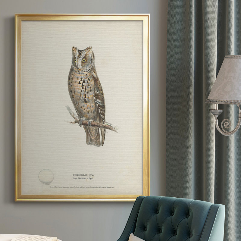 Scops - Toile encadrée de qualité supérieure - prêt à accrocher, H 24,5 po x l 18,5 po x P 1 po, Or