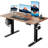 Standing Desk，Adjustable Height Of The Lifting Desk-1874775599-1874775598